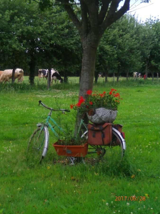 Camping Du Creulet Crouay Eksteriør bilde
